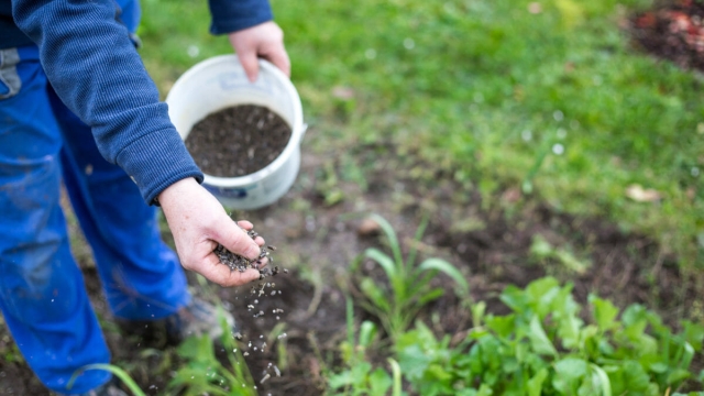 Organic Secrets: Unleashing the Power of Soils and Fertilizers