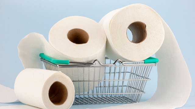 Behind the Scenes: Unraveling the Secrets of Toilet Paper Manufacturing