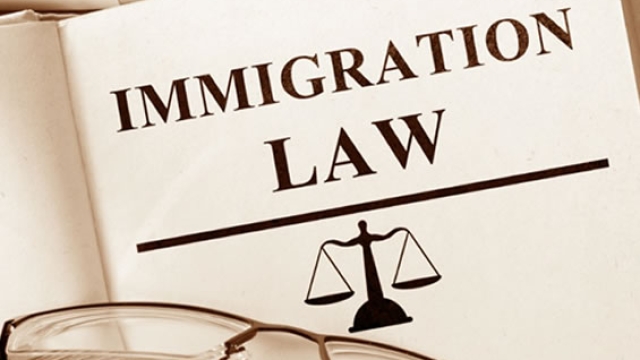 Navigating the Immigration Maze: Understanding the Law