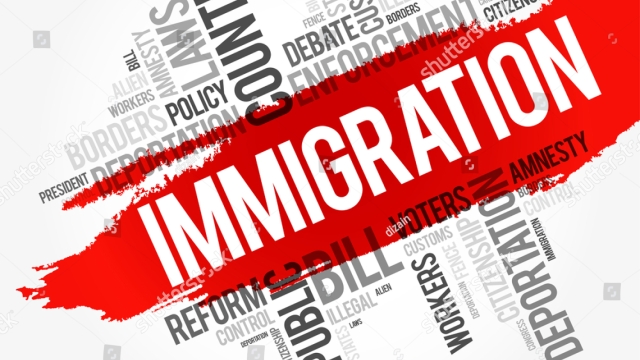 Navigating the Path: Demystifying Immigration Law