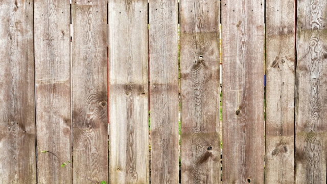 Fencing 101: Comparing Chain Link and Wood Fences