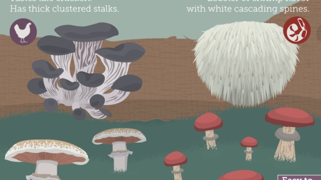 Mushroom Cultivation: Unveiling the Secrets of Mycelial Magic