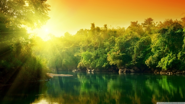 The Wisdom of Nature: Spiritual Meanings in Environmental Awareness
