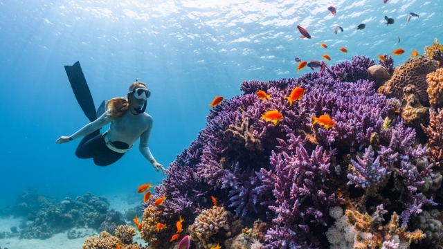 What Are Commercial Diving Services