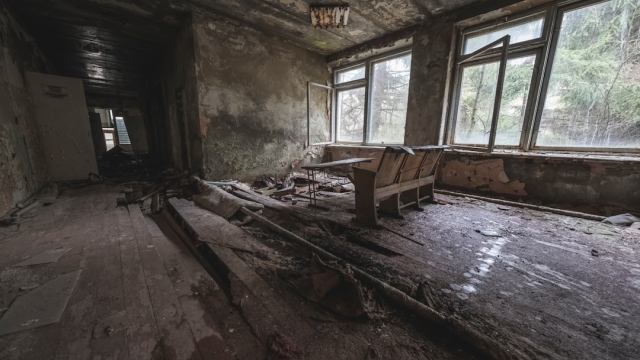 Understanding the Role of Property Improvement Experts