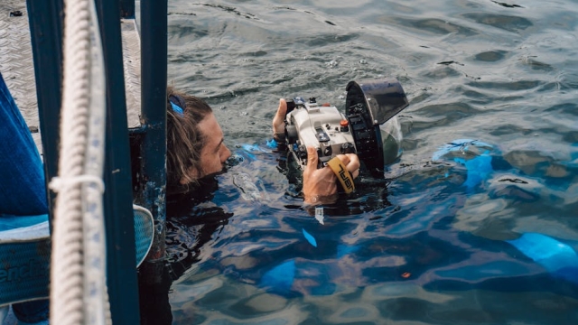 Technological Advancements in Aquaculture Systems