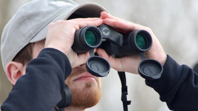 Understanding the Role of a Private Investigator in Manila Review
