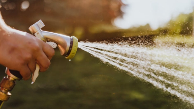 Identifying Common Causes of Pool Water Loss