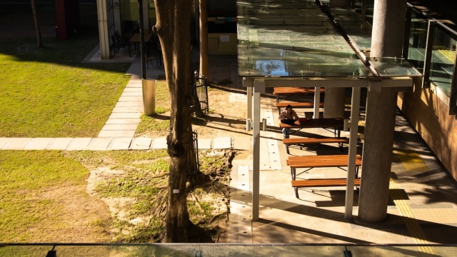 Understanding the Importance of Pool Deck Renovation