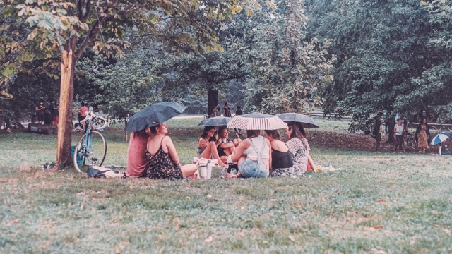 Local Seafood Restaurants with Ocean Views