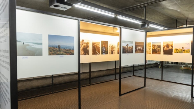 Overview of Artist Exposure Platforms