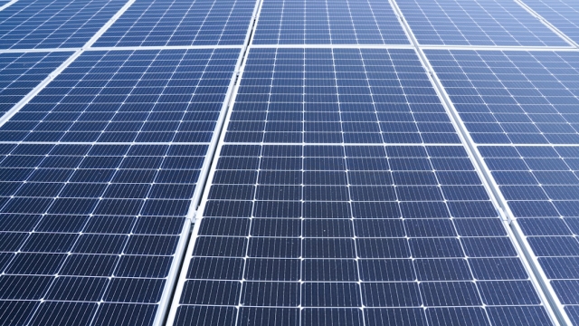 Understanding the Importance of Security Lighting