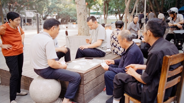 Understanding the Rules of Teen Patti